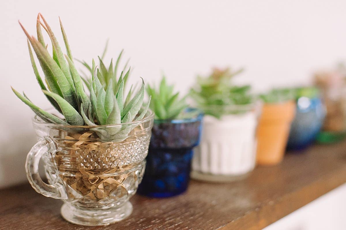 how to make cute little succulents in pots with faux succulent plants