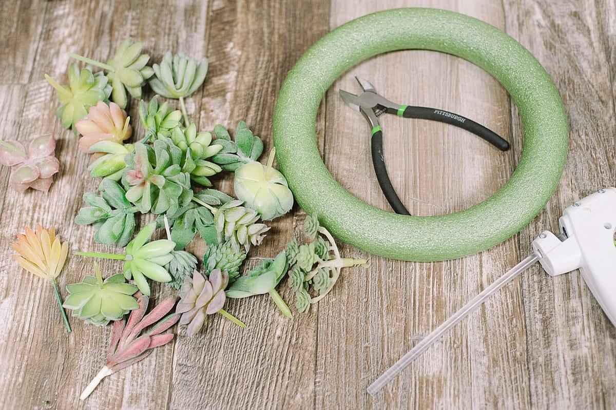 supplies needed to make a succulent wreath