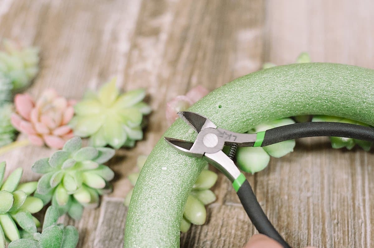 clip the wire backs of the fake succulents off from the back of the wreath using a wire cutter