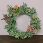 How to Make a DIY Succulent Wreath