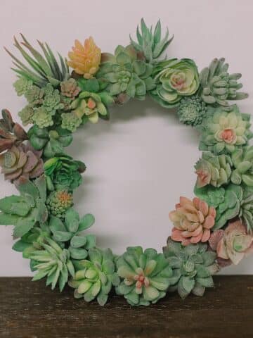 How to Make a DIY Succulent Wreath