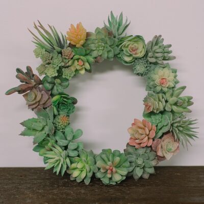 How to Make a Succulent Wreath
