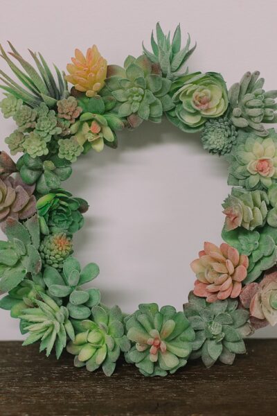 How to Make a DIY Succulent Wreath