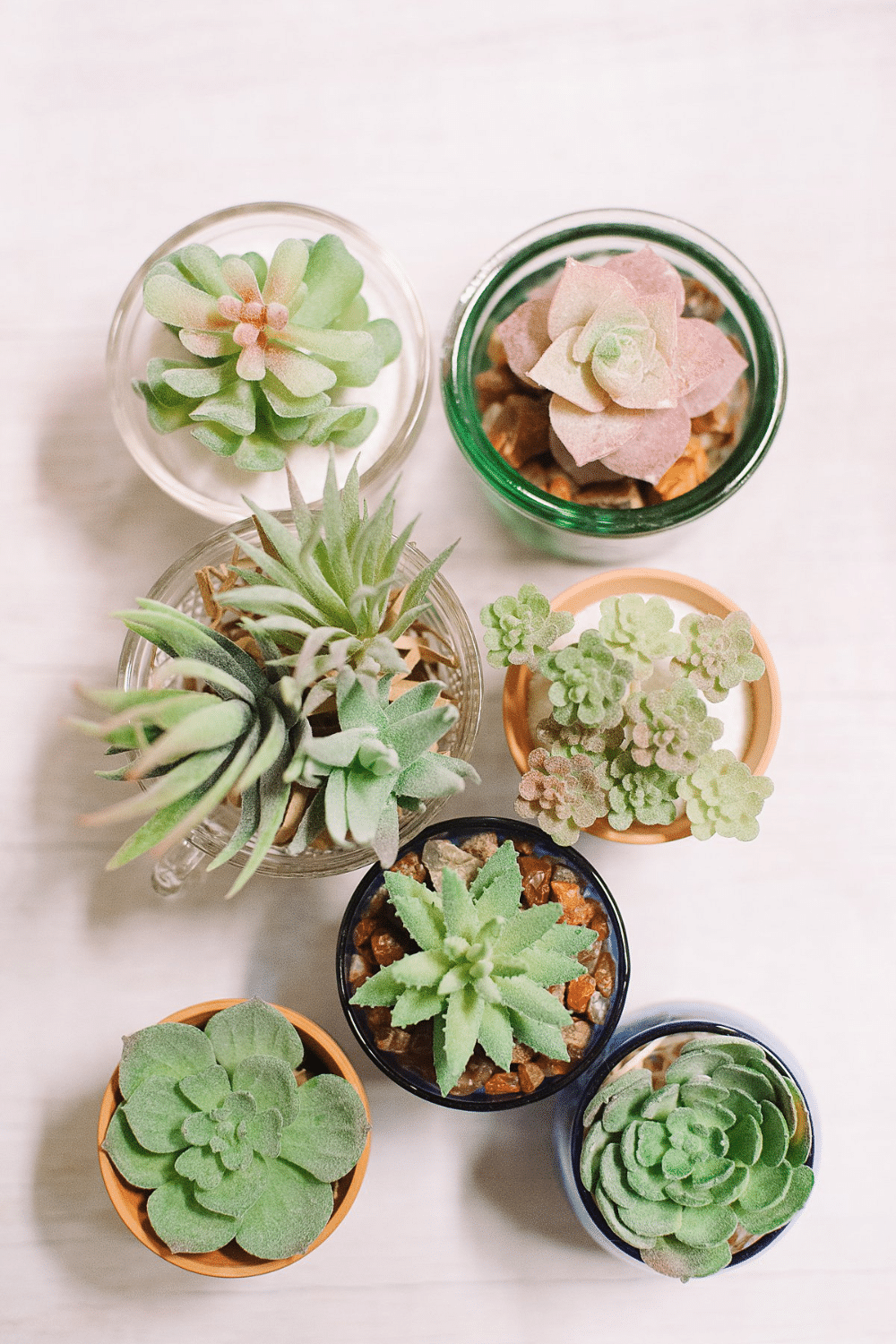 How to Make DIY Succulent Planters