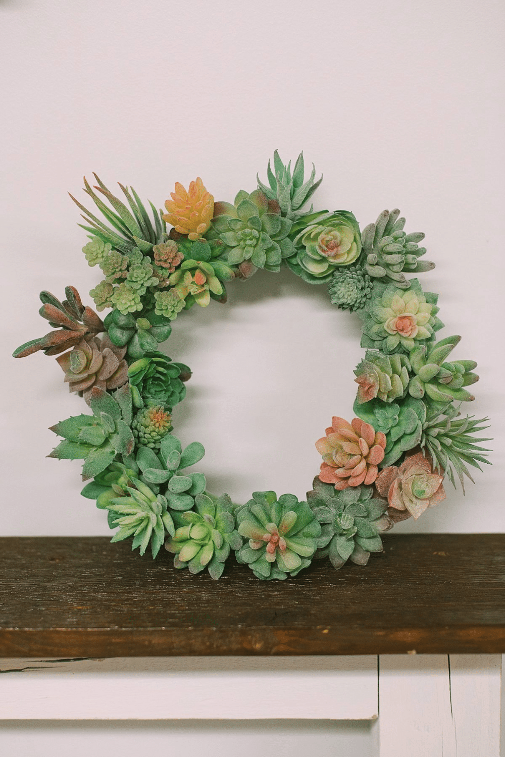 How to Make a Succulent Wreath