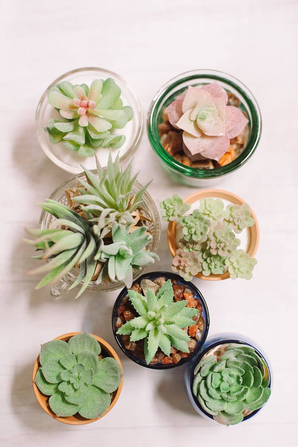 How to Make DIY Succulent Planters - Laura Radniecki