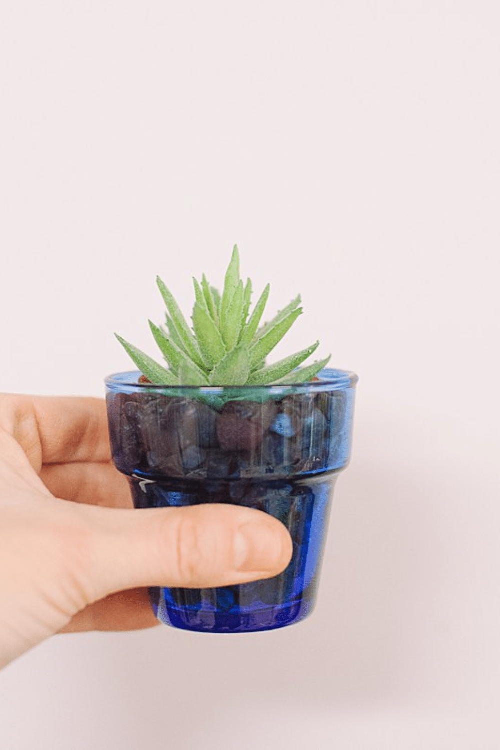 How to Make DIY Succulent Planters