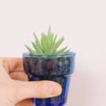 How to make DIY faux succulent planters.