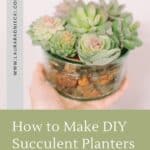 How to make DIY faux succulent planters.