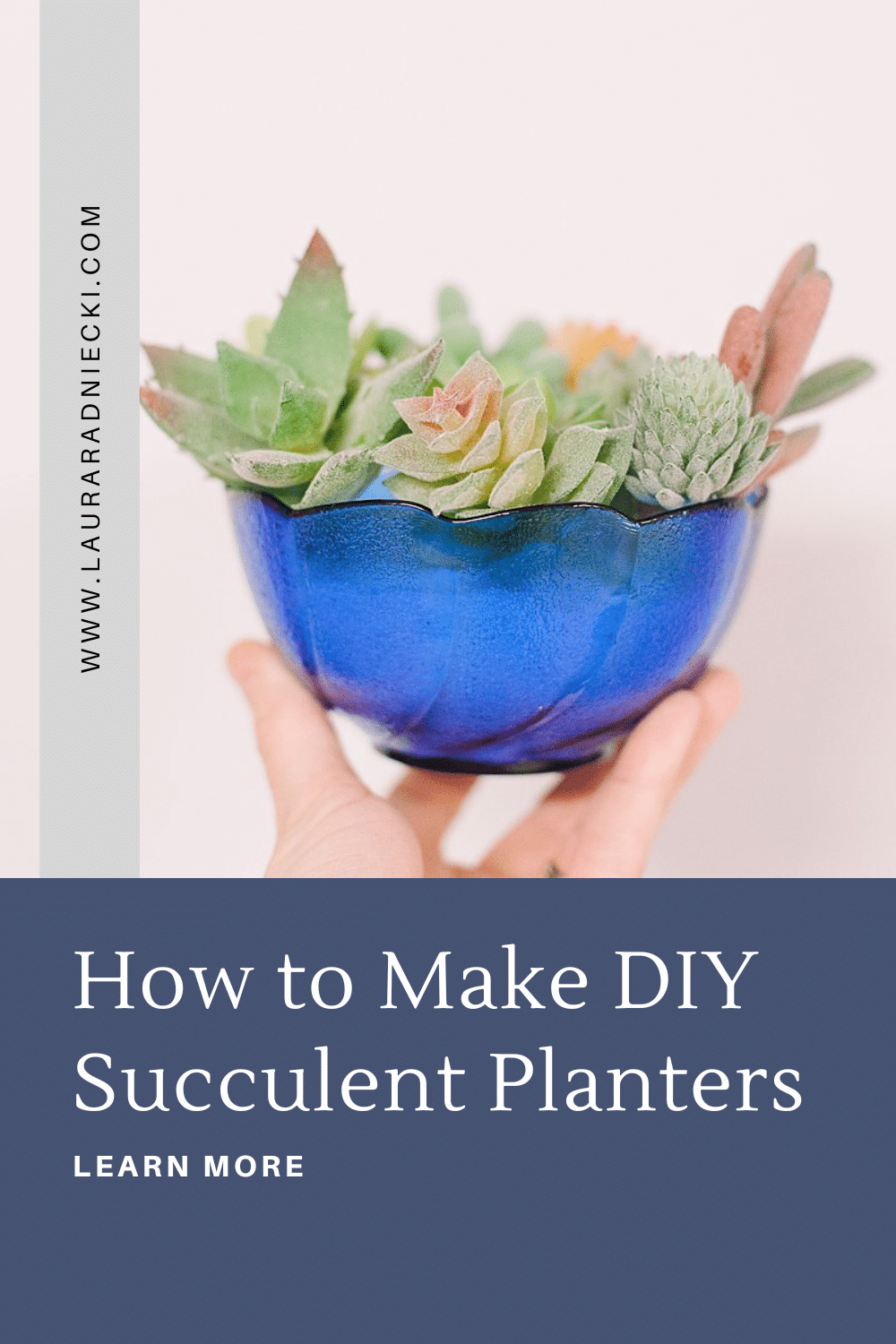 How to Make DIY Succulent Planters