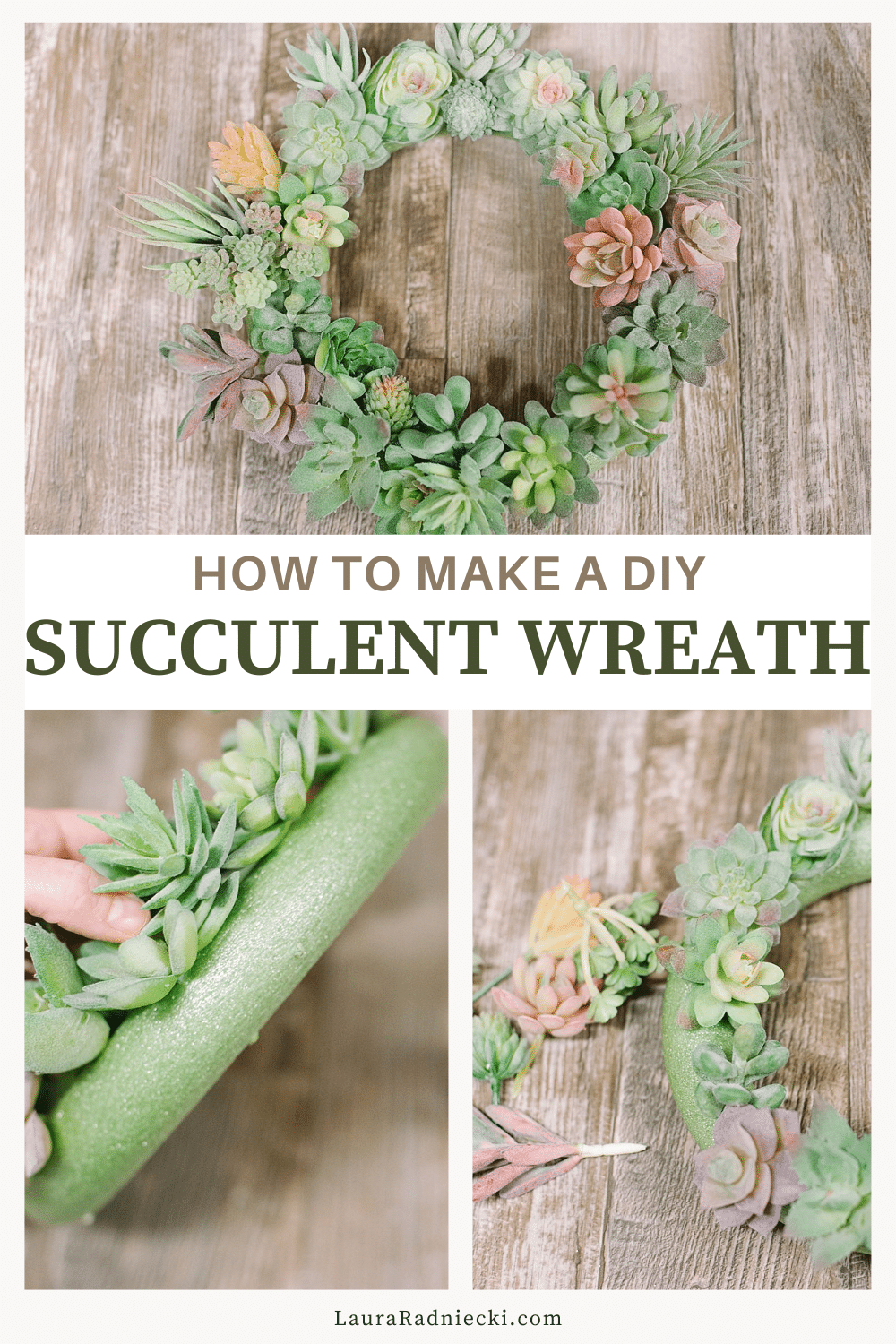 How to Make a Succulent Wreath