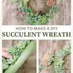 Learn how to make a succulent wreath for your home using fake succulent plants.