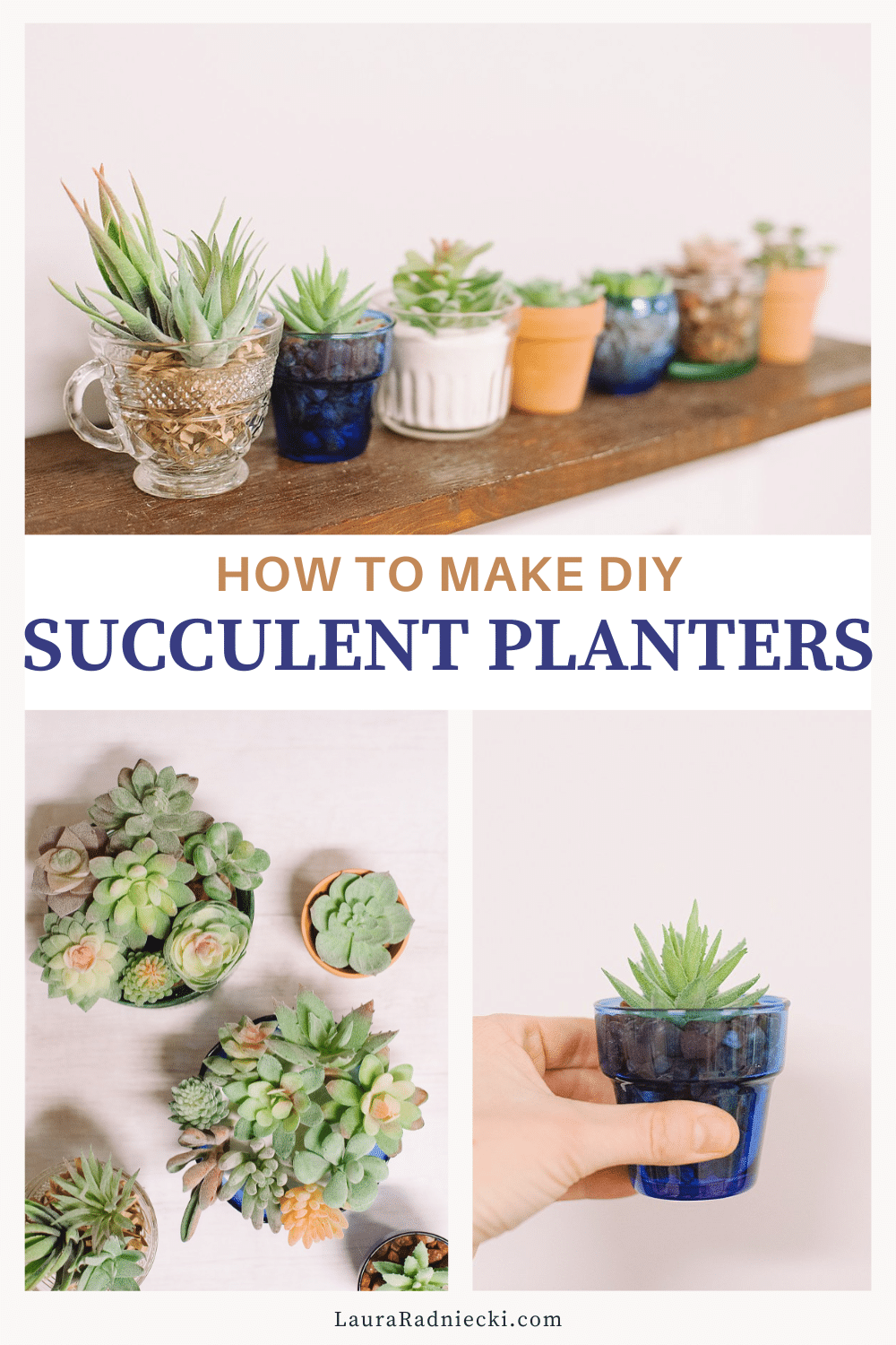 How to Make DIY Succulent Planters