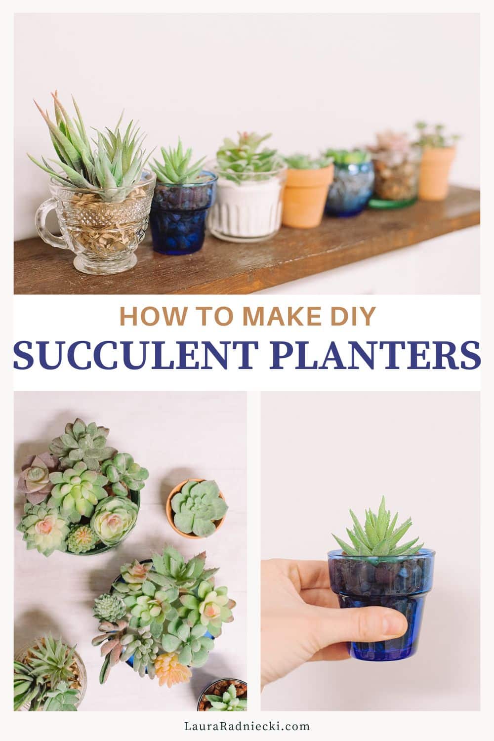 How to Make DIY Succulent Planters - Laura Radniecki