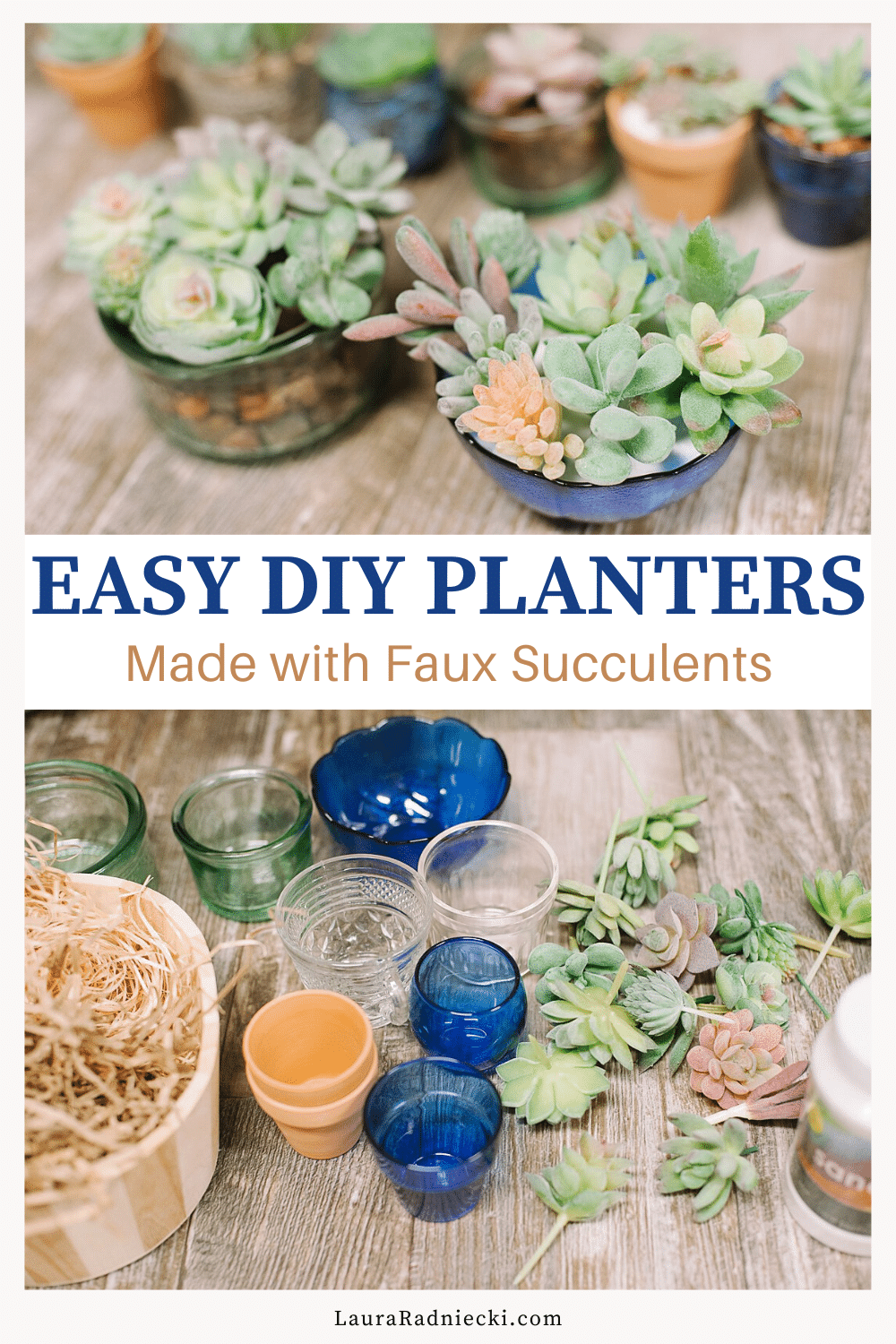 How to Make DIY Succulent Planters