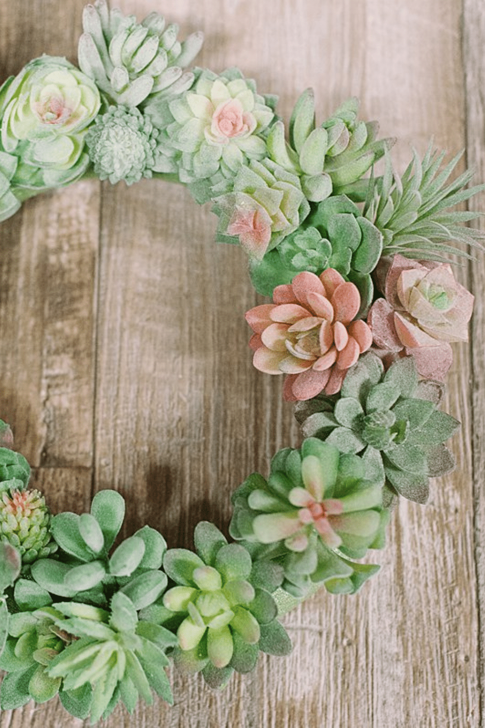 How to Make a Succulent Wreath