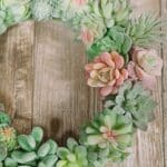 Learn how to make a succulent wreath with fake succulent plants.
