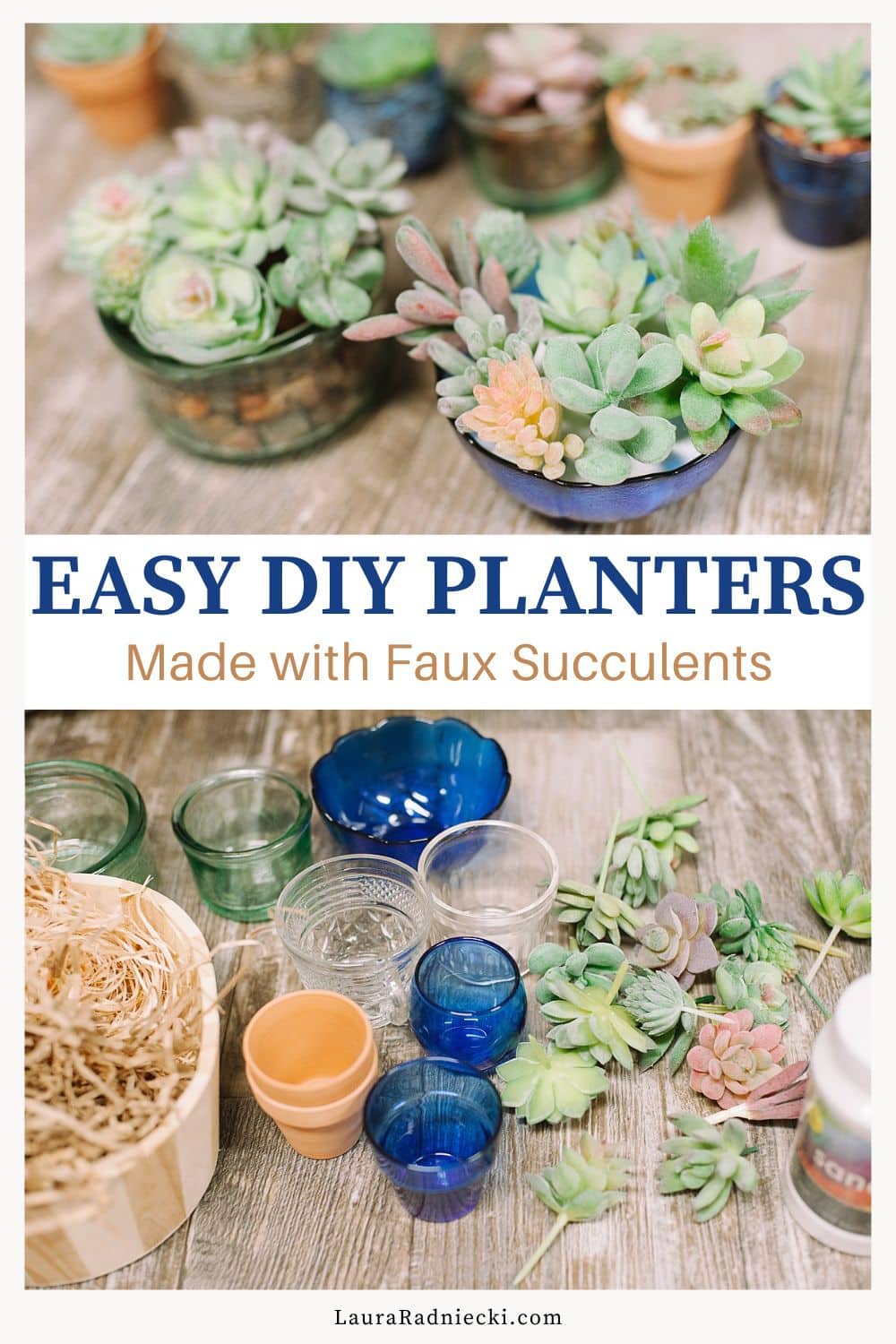 How to Make DIY Succulent Planters - Laura Radniecki