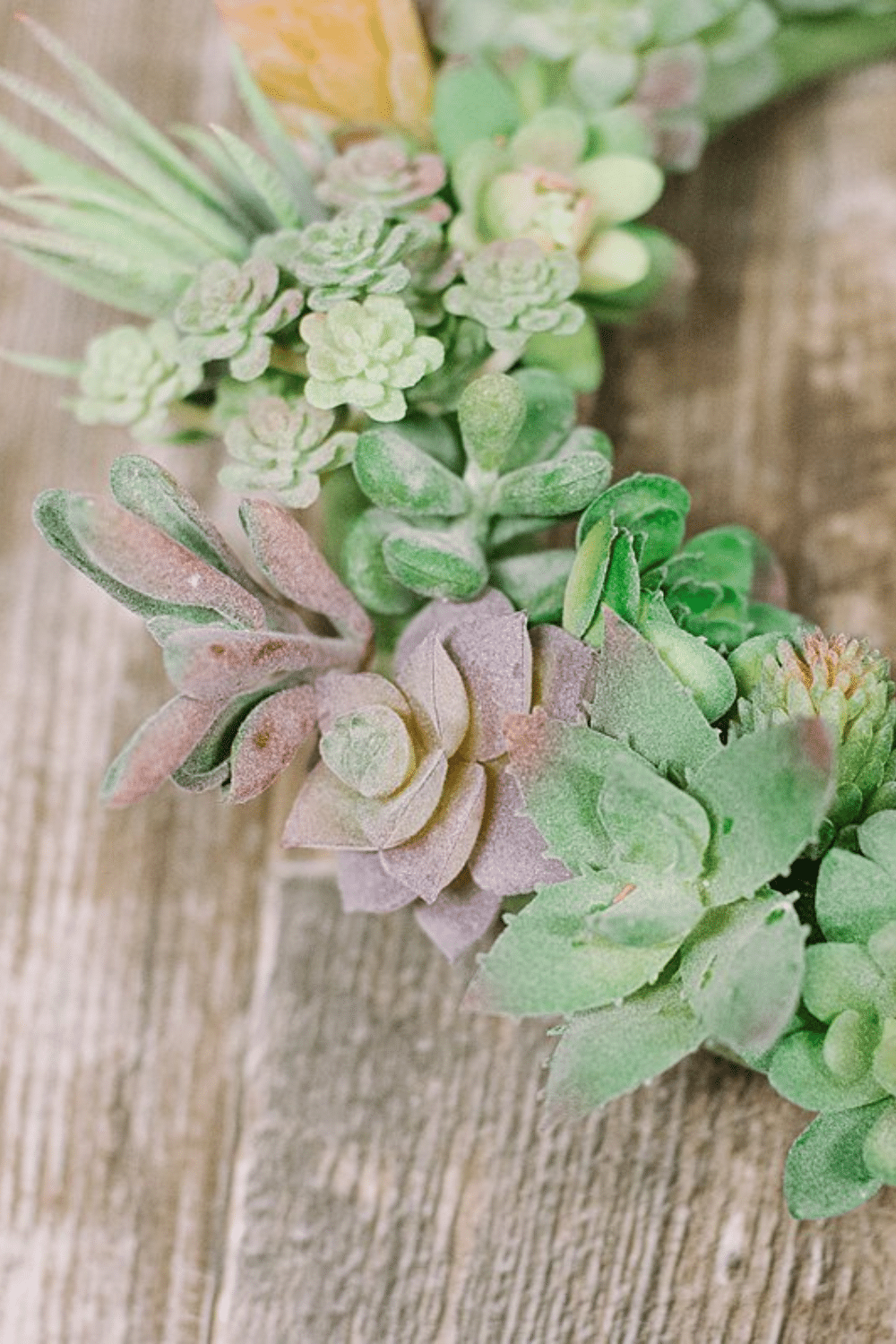 How to Make a Succulent Wreath