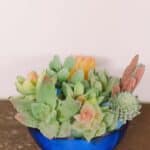 How to make DIY faux succulent planters.