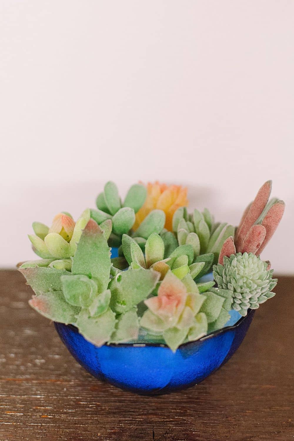 How to Make DIY Succulent Planters - Laura Radniecki