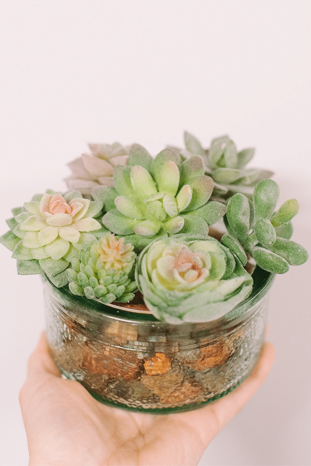 How to Make DIY Succulent Planters