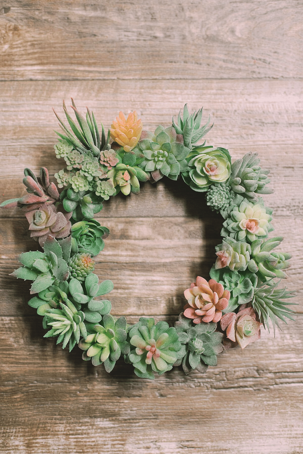 How to Make a Succulent Wreath