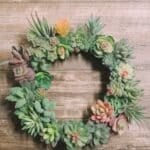 Learn how to make a succulent wreath with fake succulent plants.