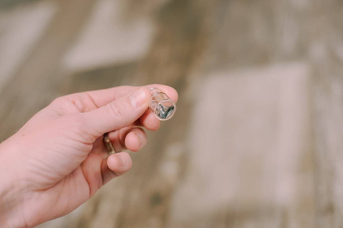 tiny sharks teeth inside small glass jar