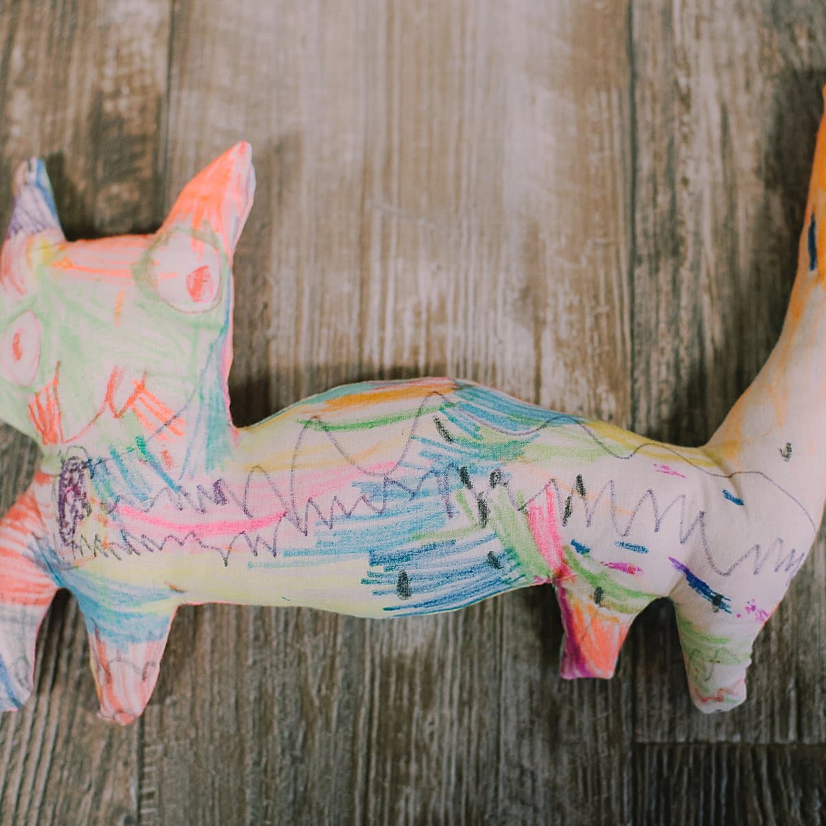 Make a stuffed animal of your store cat