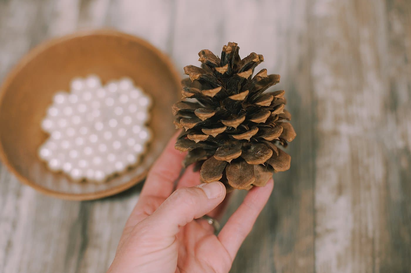 Hot glue pearls to the ends of the pine cone.