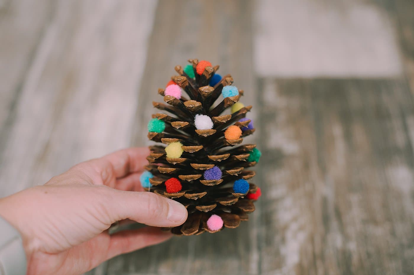 Pom Poms and Pinecones Christmas Ornaments