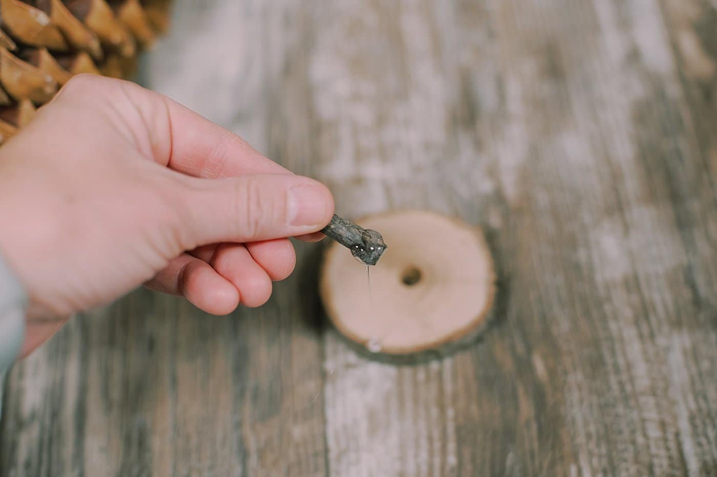 Hot glue the branch into the wood disc base.