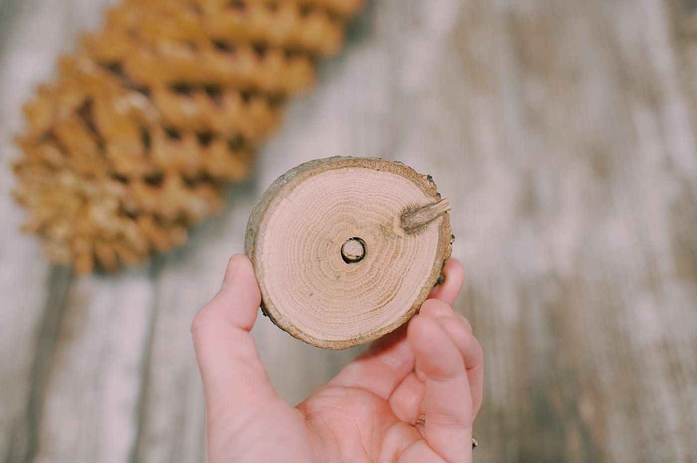 Hot glue the branch into the wood disc base.