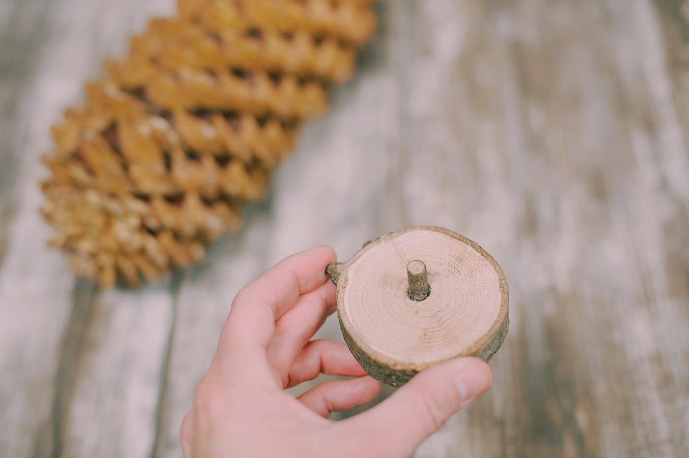 Hot glue the branch into the wood disc base.