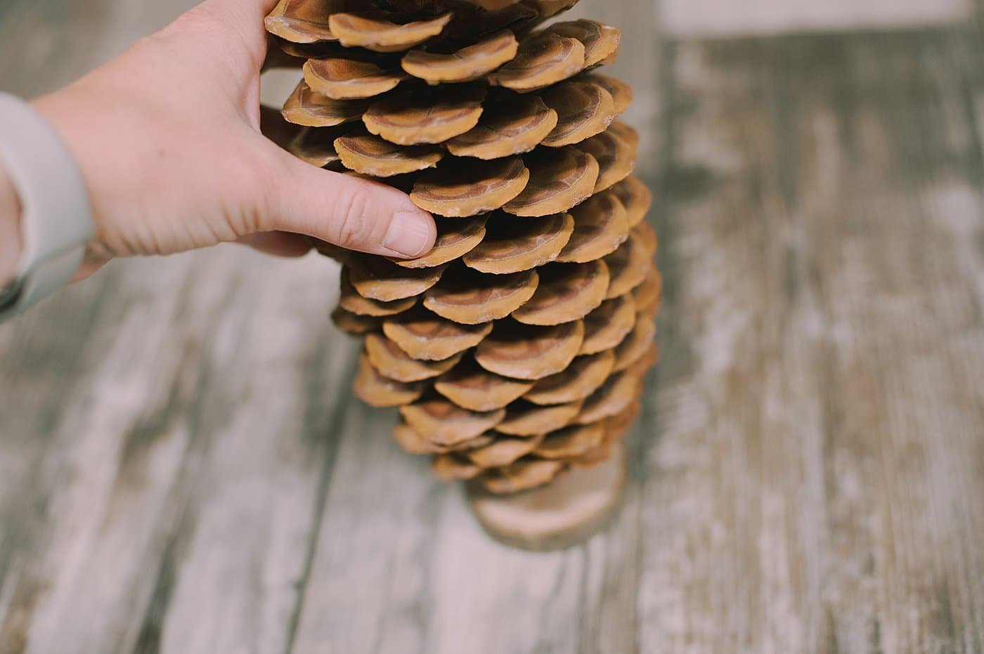 Hot glue pine cone onto the wooden base.