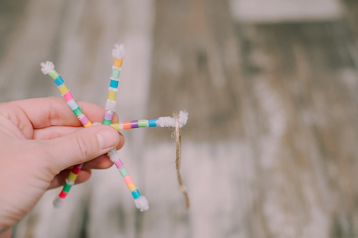 Add a loop of twine to one end of the pipe cleaner and fold over to secure.