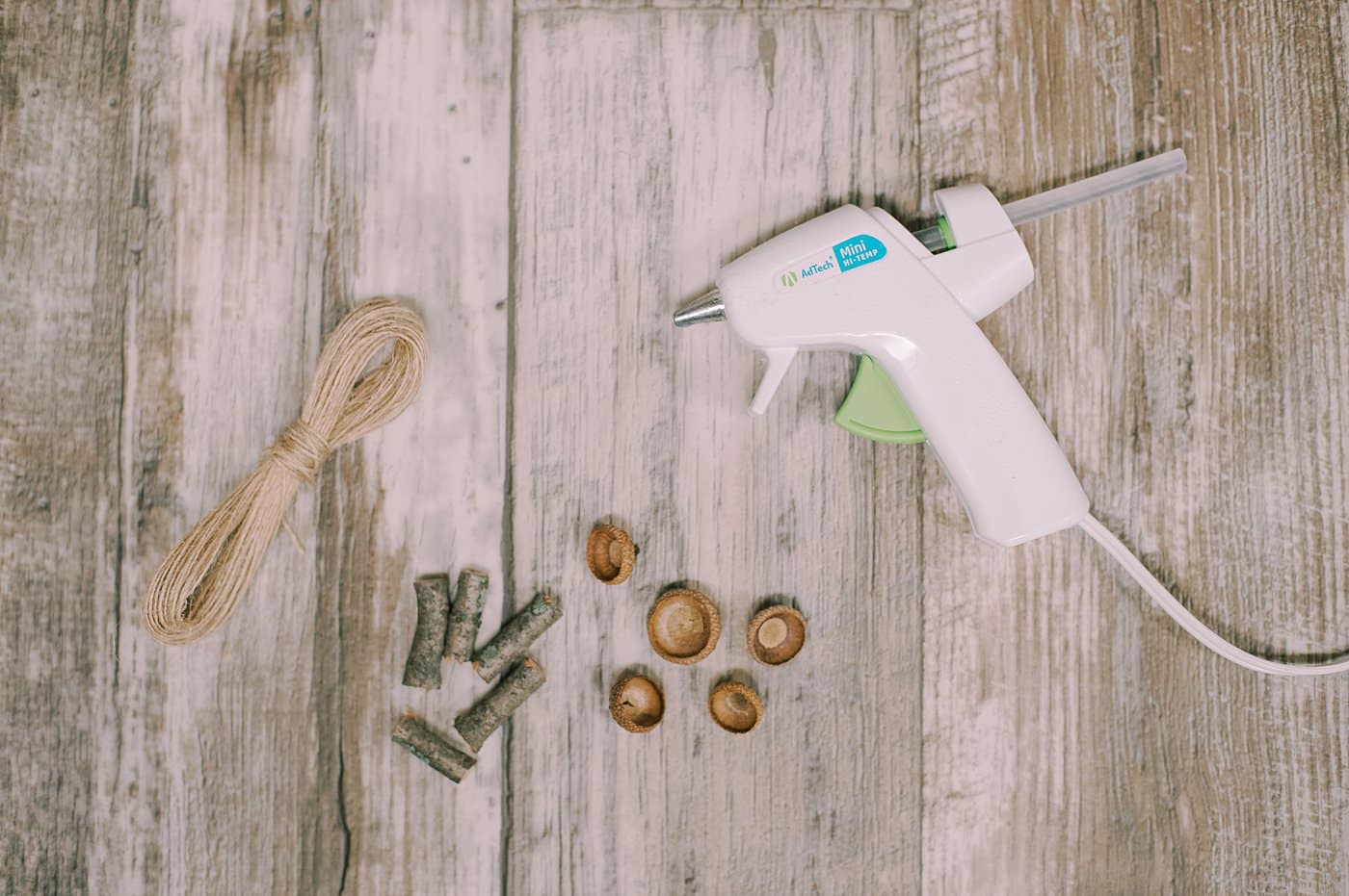 Supplies to make tiny mushroom ornaments using sticks and acorn caps.