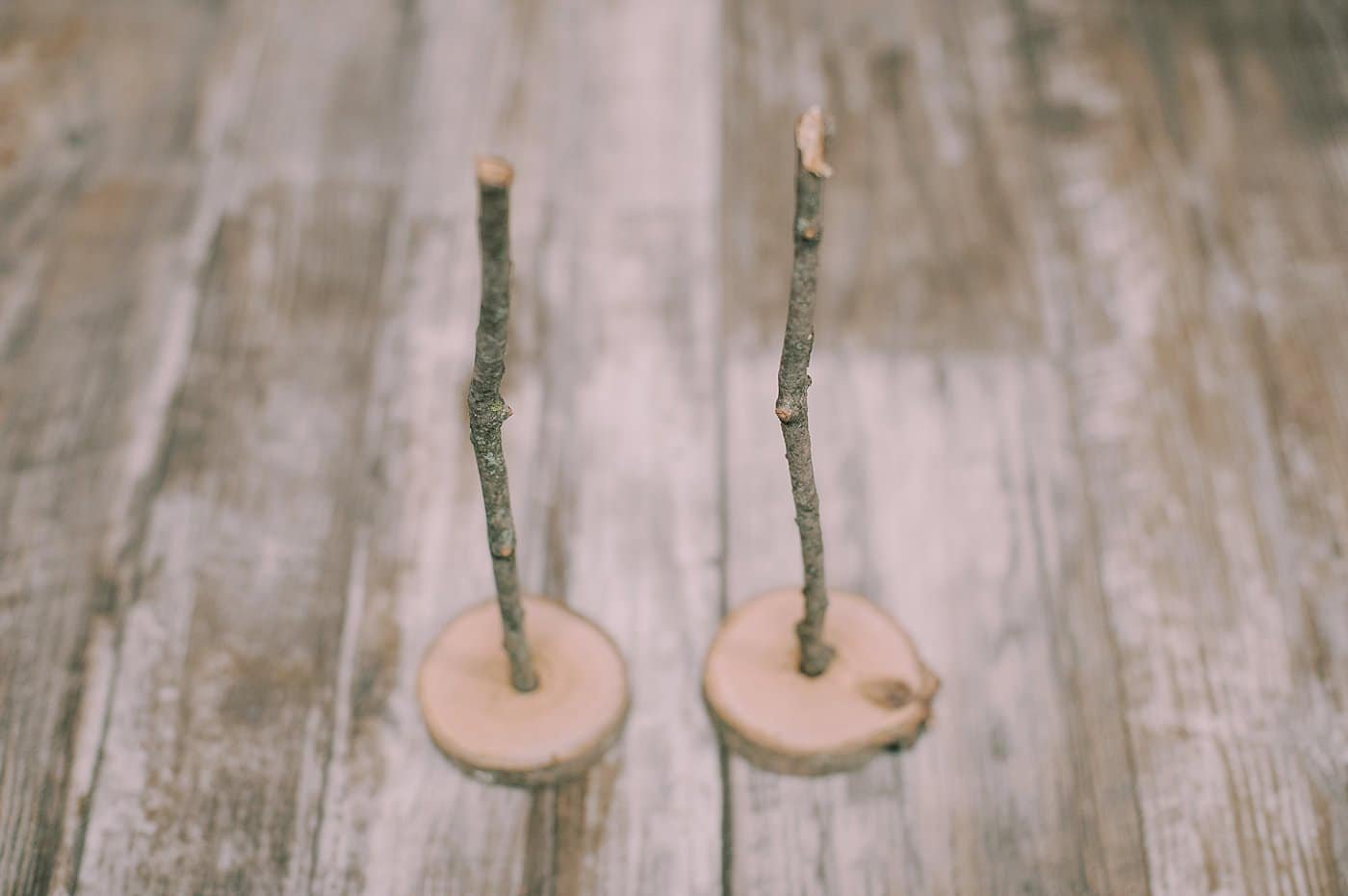 hot glue sticks into the holes drilled into the wood slice bases