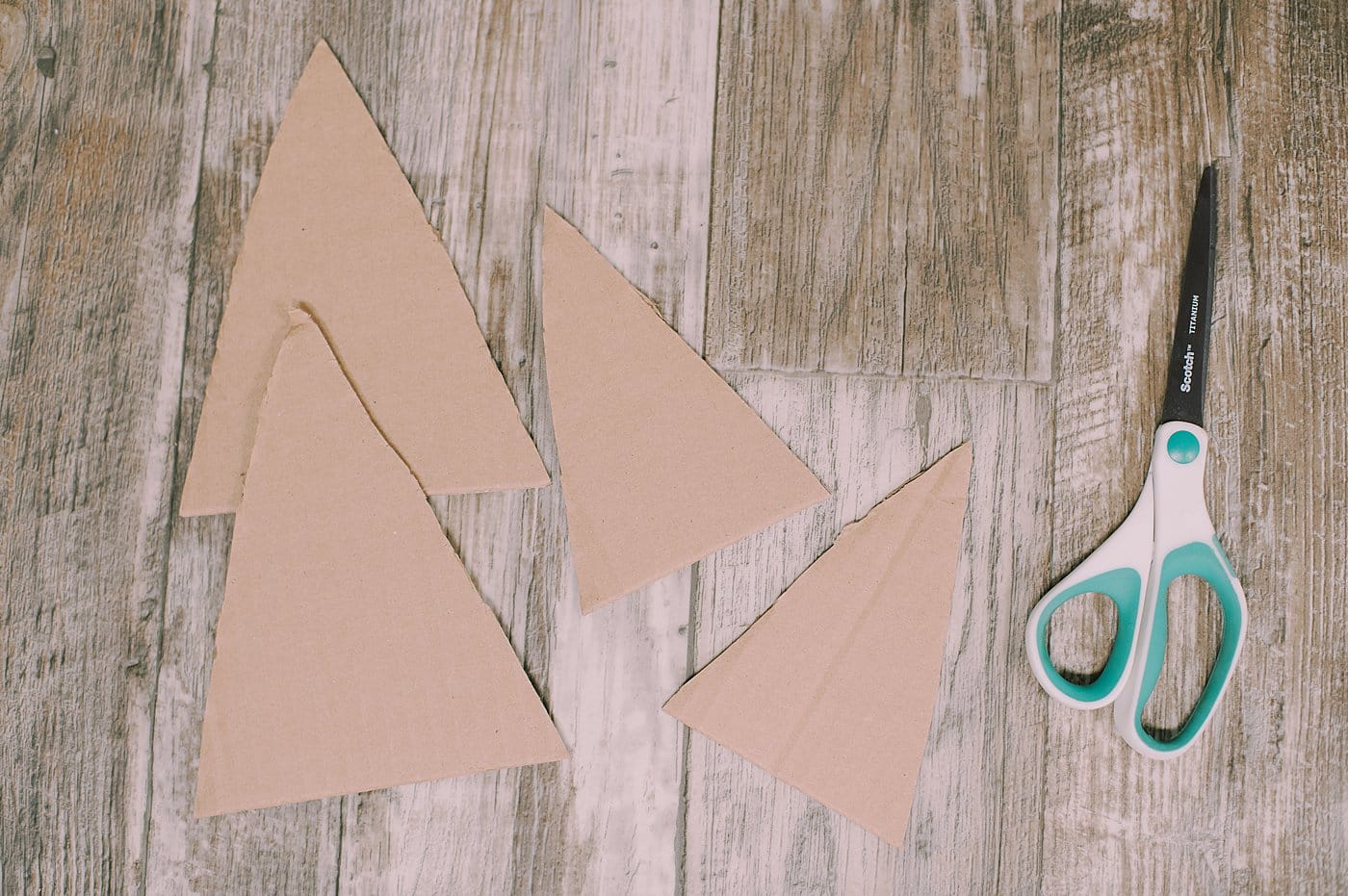 cut triangles out of the cardboard for the tree shapes