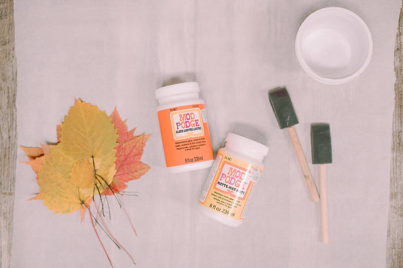 Supplies to coat fall leaves with Mod Podge.