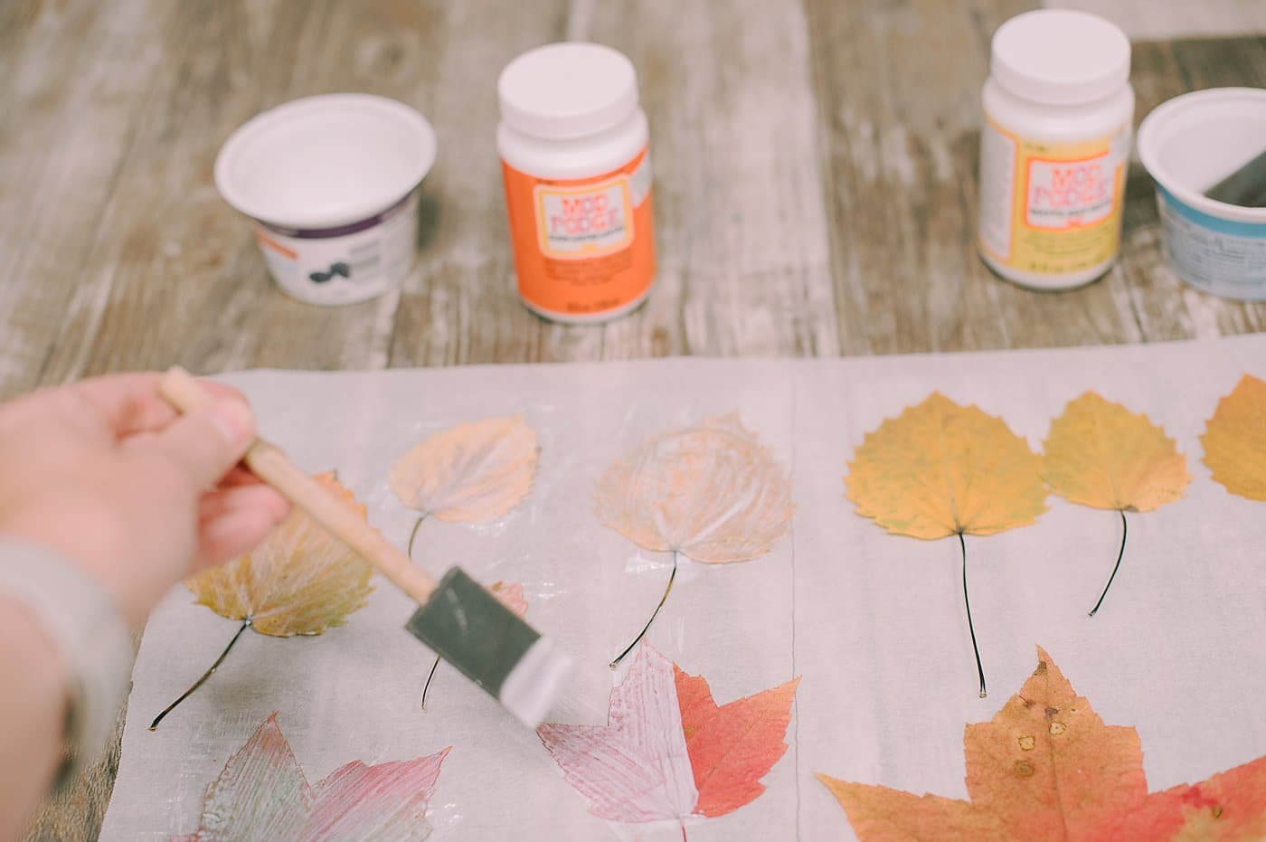 A layer of Mod Podge being brushed onto fall leaves.