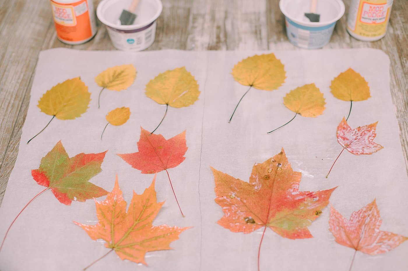 Mod podge drying on fall leaves, laying out on a tabletop.