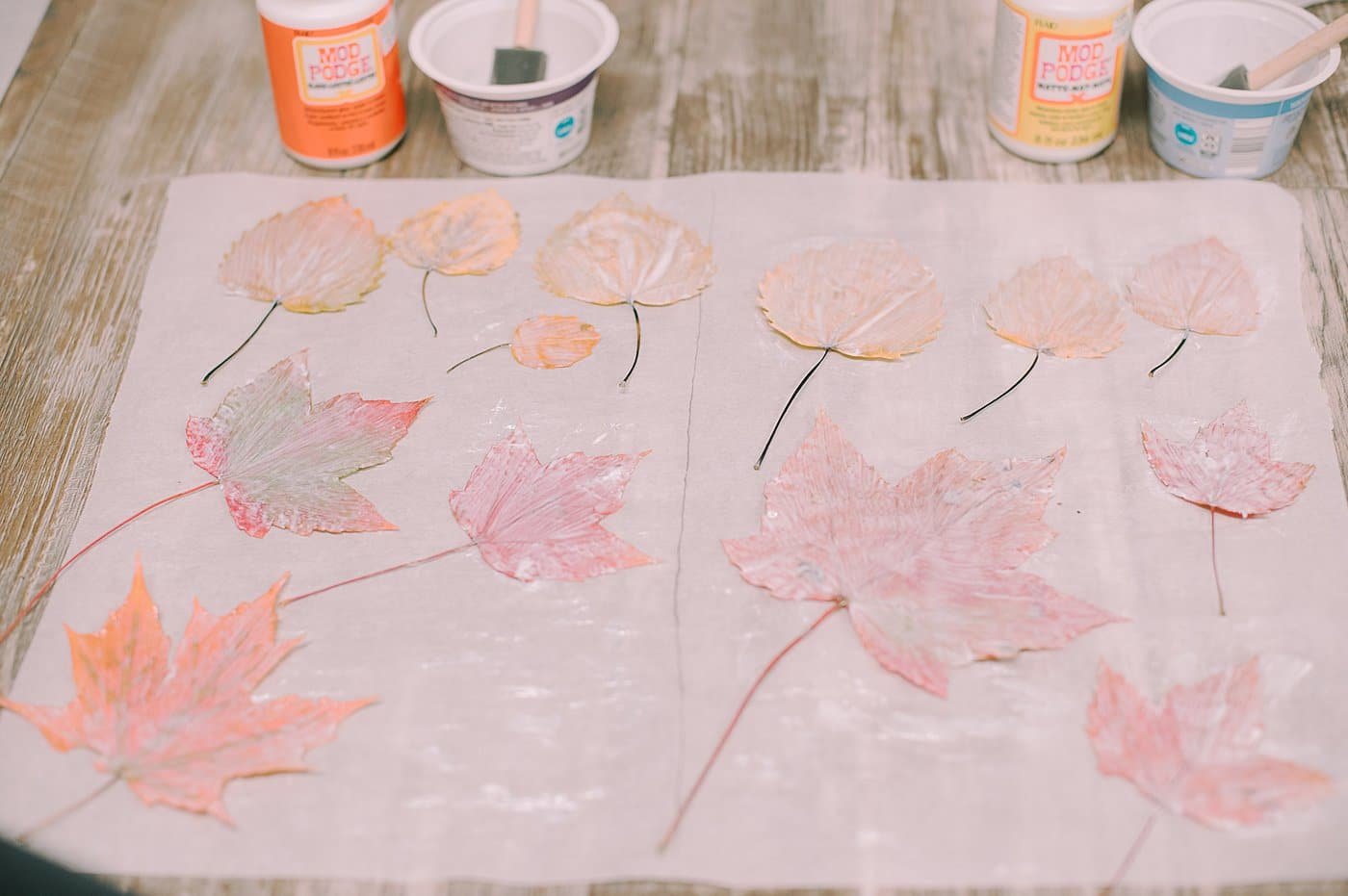 Flip the leaves over and add a layer of Mod Podge to the other side. Repeat with a second layer on the front side if desired. Let dry.