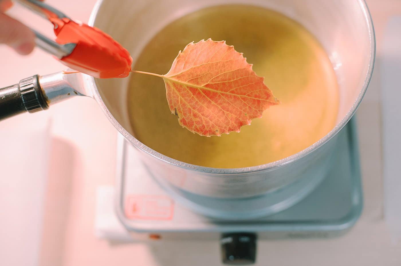 Dip colorful fall leaves into the beeswax. make sure the leaves are as dry as possible to decrease bubbling.
