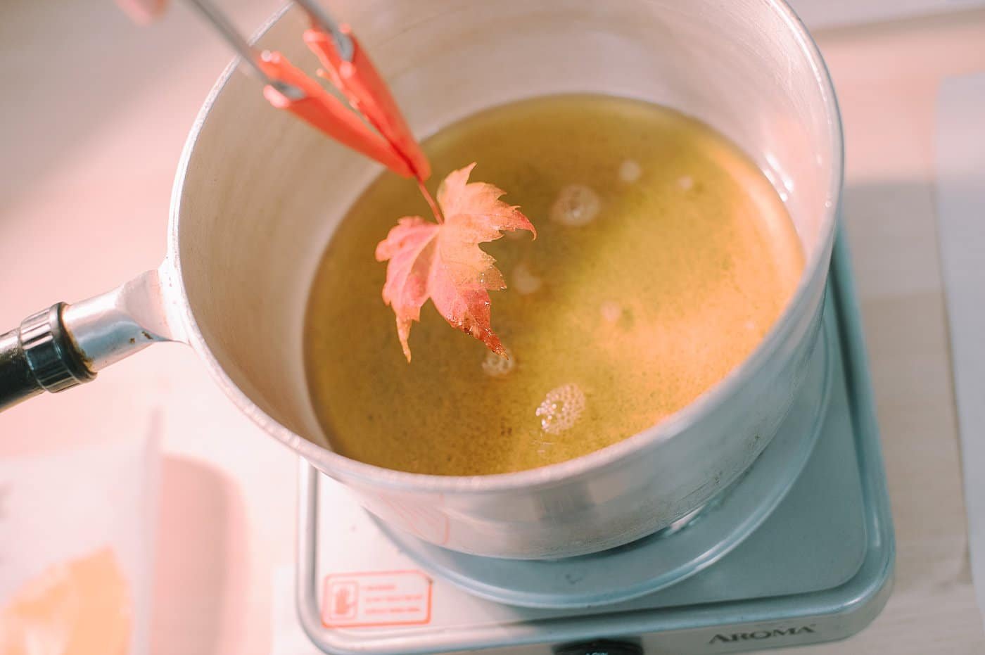 Remove the beeswax-coated leaf and lay it to dry on parchment paper.