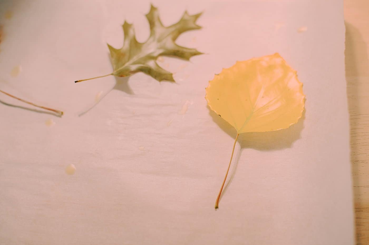 Lay wax covered leaves on parchment paper while the wax hardens and cools.