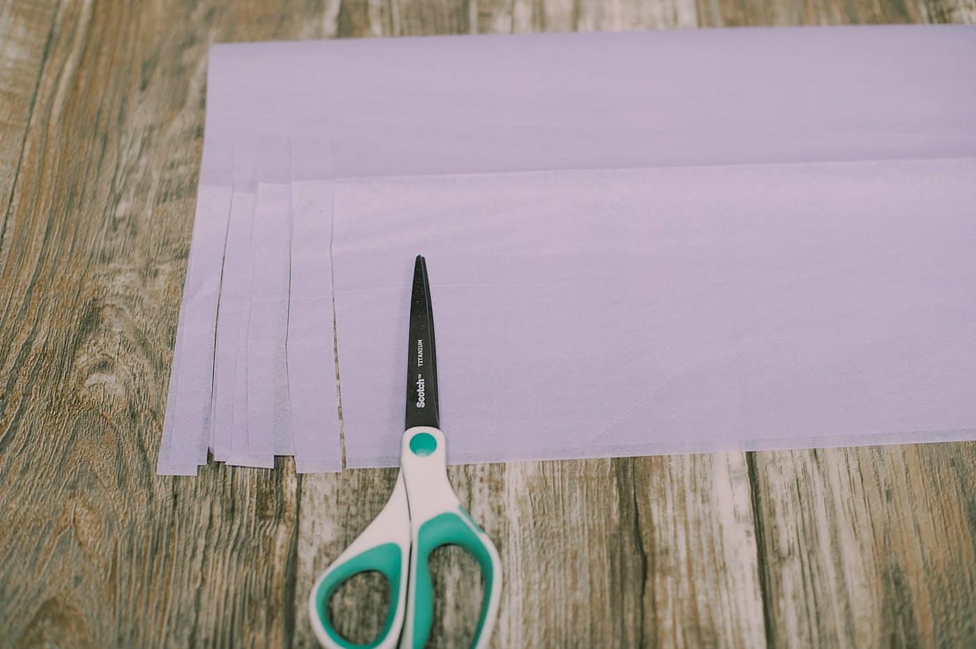 Make slits up from the bottom of the tissue paper, about ½" - ¾" wide.