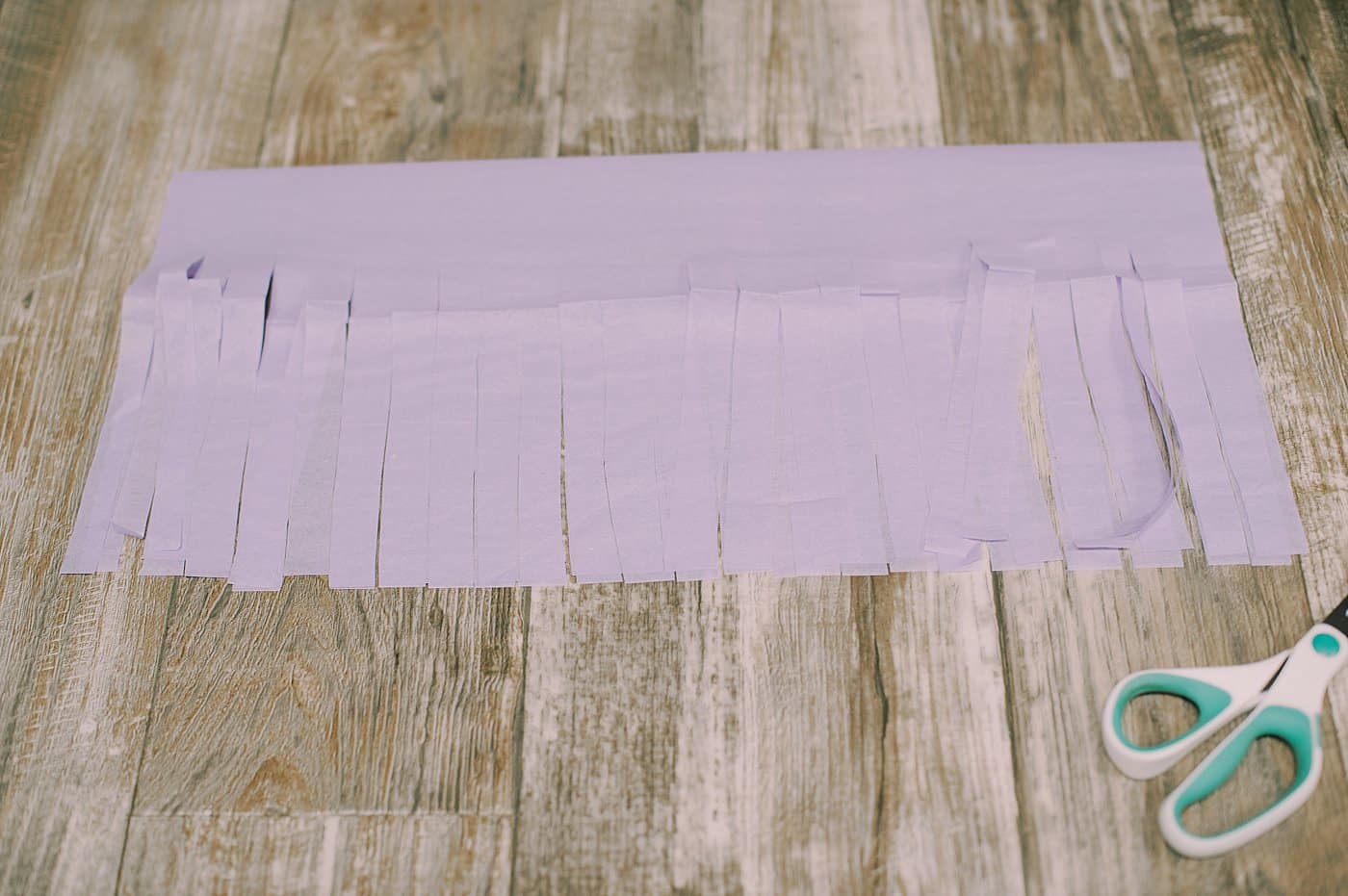 Make slits up from the bottom of the tissue paper, about ½" - ¾" wide.