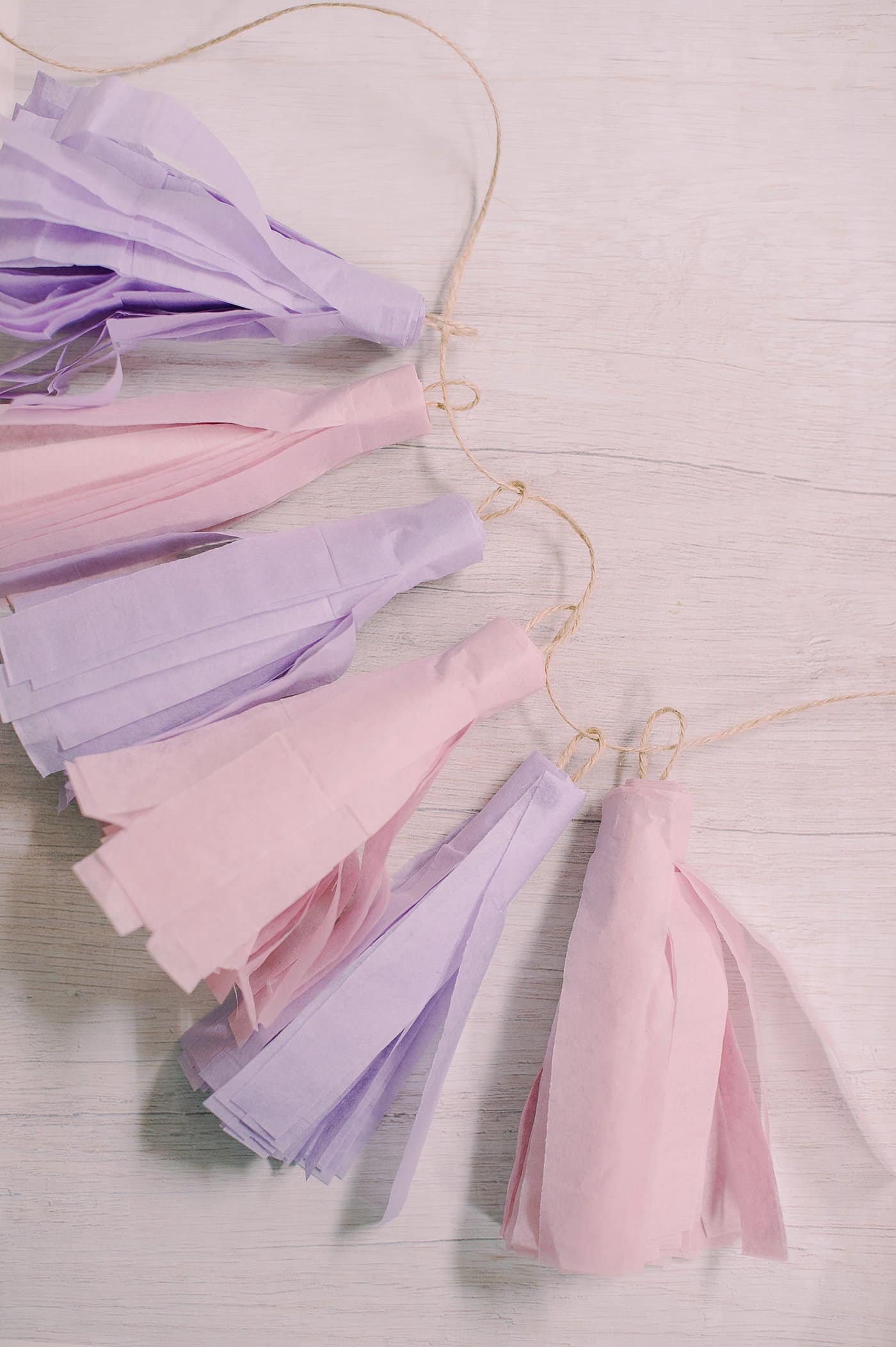 A Tissue Paper Tassel Garland.